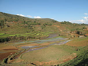 Paysage de rizières dans la région de Fandriana © WWF/Olivier van Bogaert Rice fields in the vicinity of Fandriana
