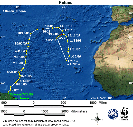 Palana map locator 28 WWF
