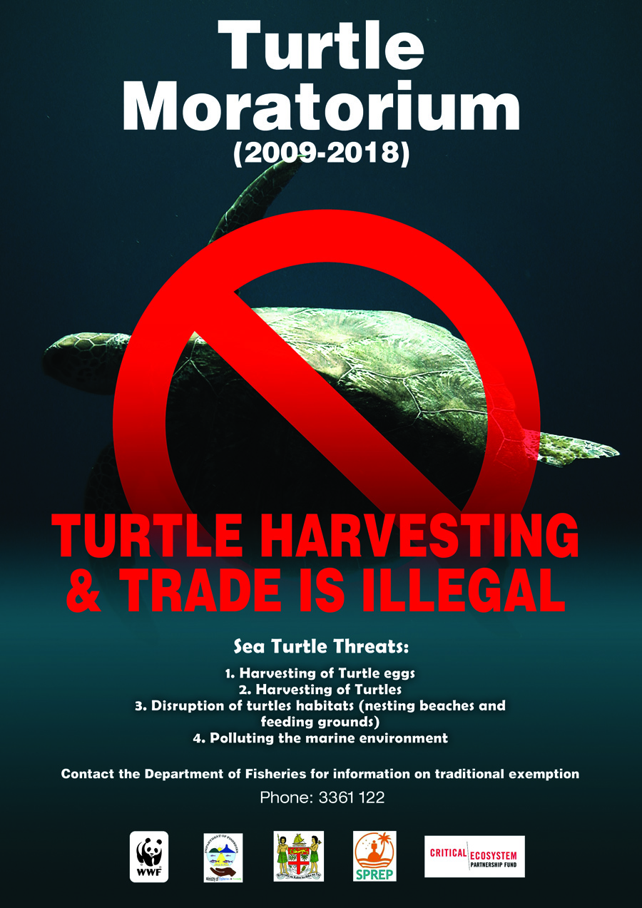 Turtle Harvesting & Trade is Illegal WWF