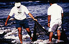 Team of fish scientists Collecting fish Jaú National Park, Amazonas, Brazil