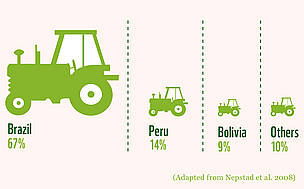 Brazil has most of the crop area of the Amazon, followed by Peru and Bolivia 
© WWF