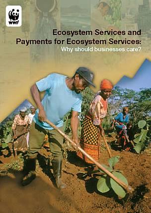 Ecosystem Services and Payments for Ecosystem Services: Why should