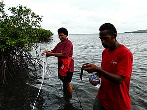 Community members take part in mangrove survey