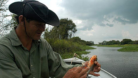 Abundant fish resources feed the inhabitants of the Iténez, Bolivia rel=