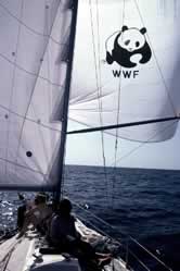 Whale sanctuary, WWF "Tulip" boat, Indian Ocean, Sri Lanka. 
© WWF / Hal WHITEHEAD