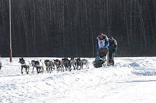 Martin Buser Climate Witness: Martin Buser, USA | WWF