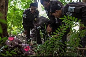 Panda Ranger Training WWF-Myanmar trained rangers for better protection of Myanmar elephants ...