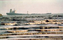 Karachi: oil spill catastrophe | WWF