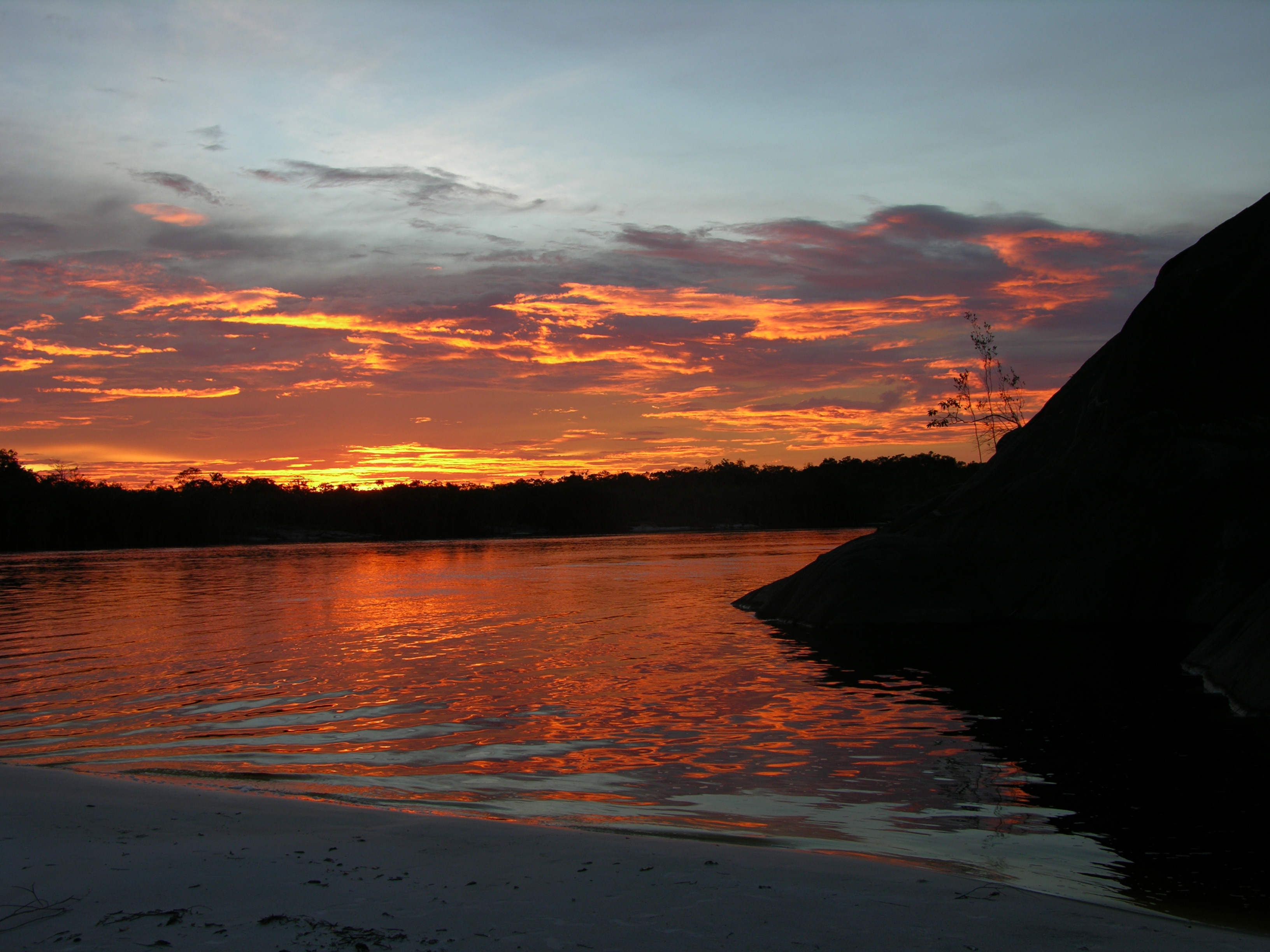 Día Mundial de los Humedales: 38 años de conservación y desarrollo ...