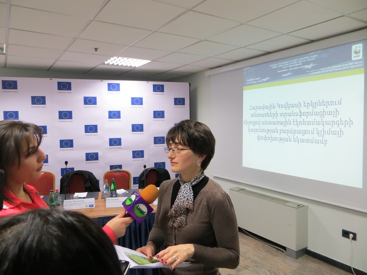 press-event-in-the-frames-of-the-eu-funded-forest-transformation