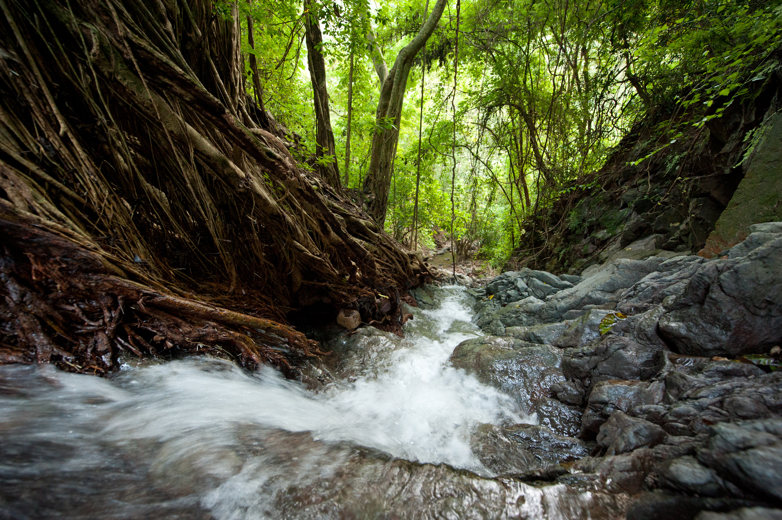 Aprueba Convención Ramsar propuesta de México para proteger humedales ...