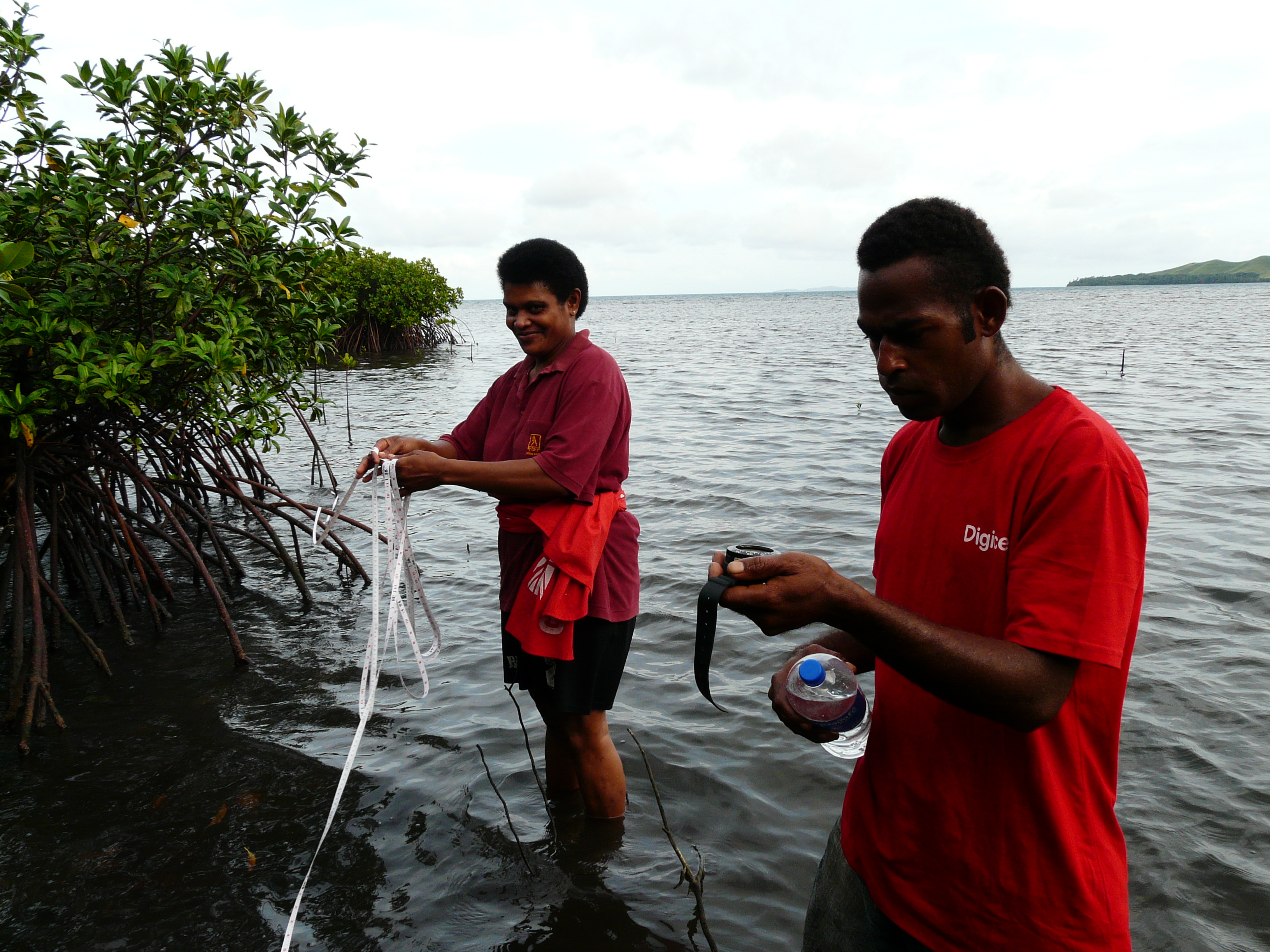 Community members take part in mangrove survey