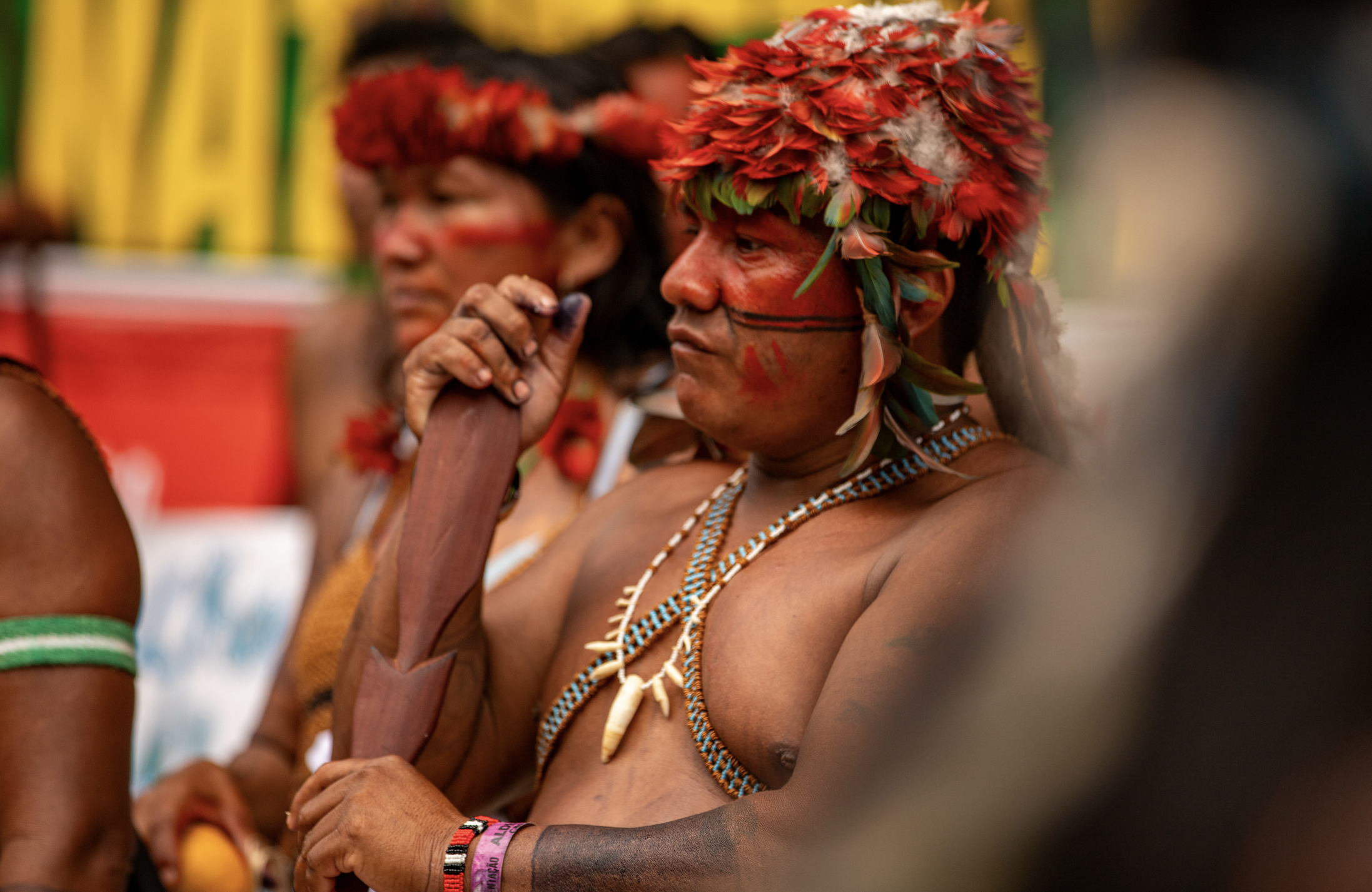 Putting Indigenous Rights at the Heart of the Energy Transition | WWF