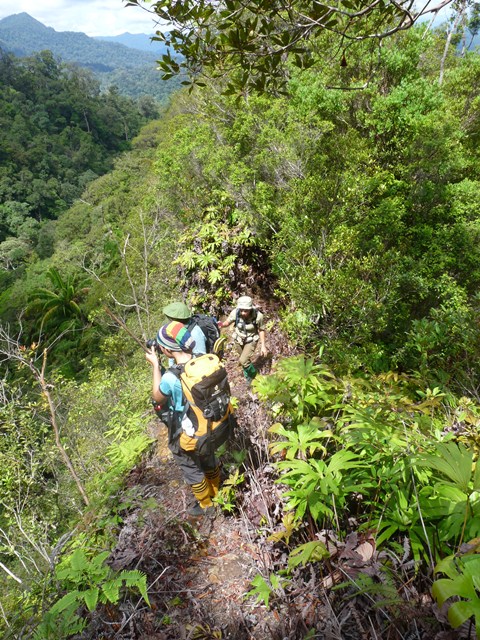 People hiking through mountains in Sabah