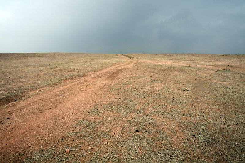 Цөлжилттэй цаасан дээр тэмцсээр л | WWF