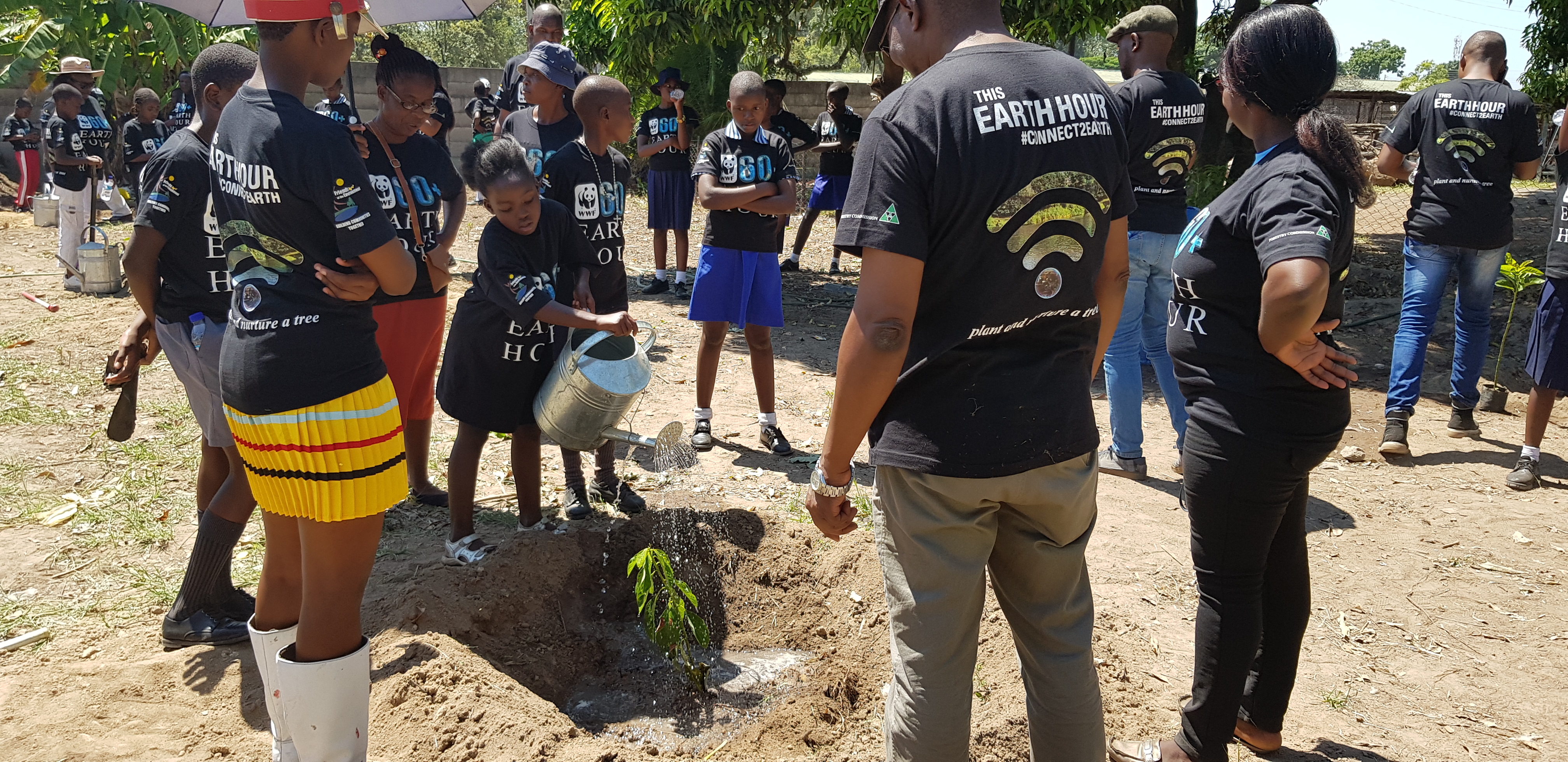 Earth Hour 2019 inspires Zimbabweans to plant and nurture trees WWF