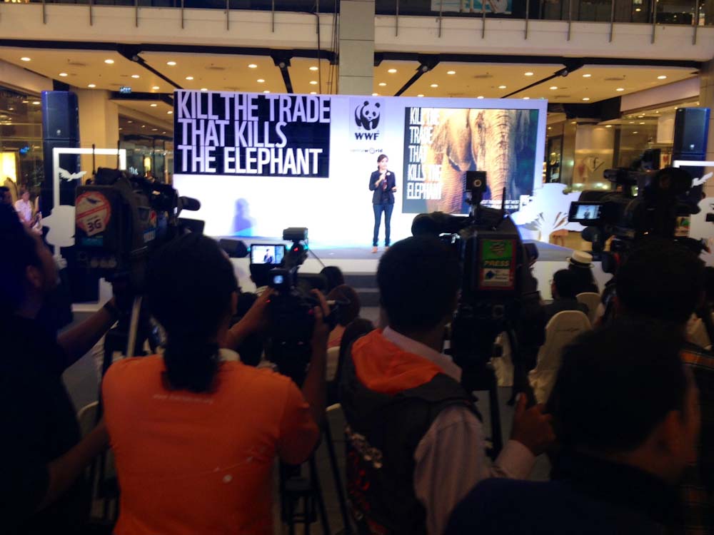 Elephant origami event draws support for ban on ivory trade in Thailand ...