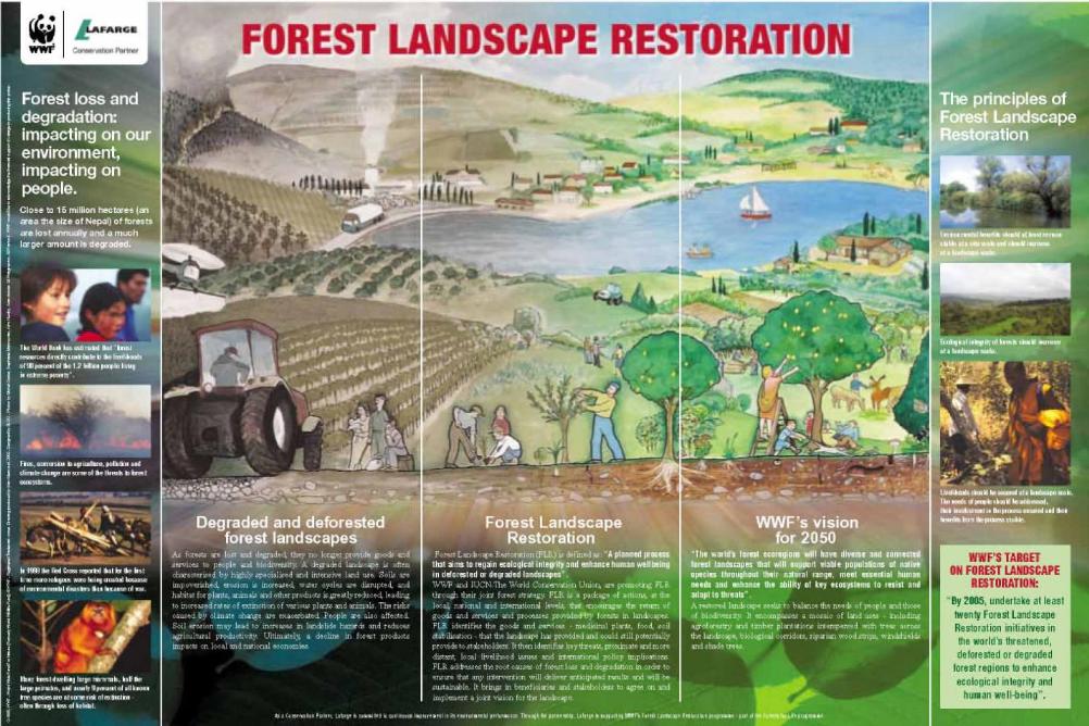 wwf-forest-landscape-restoration-poster-small-version-wwf