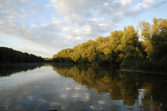 Gorna Reka Na međunarodni dan reka WWF objavio 360 river view video | WWF