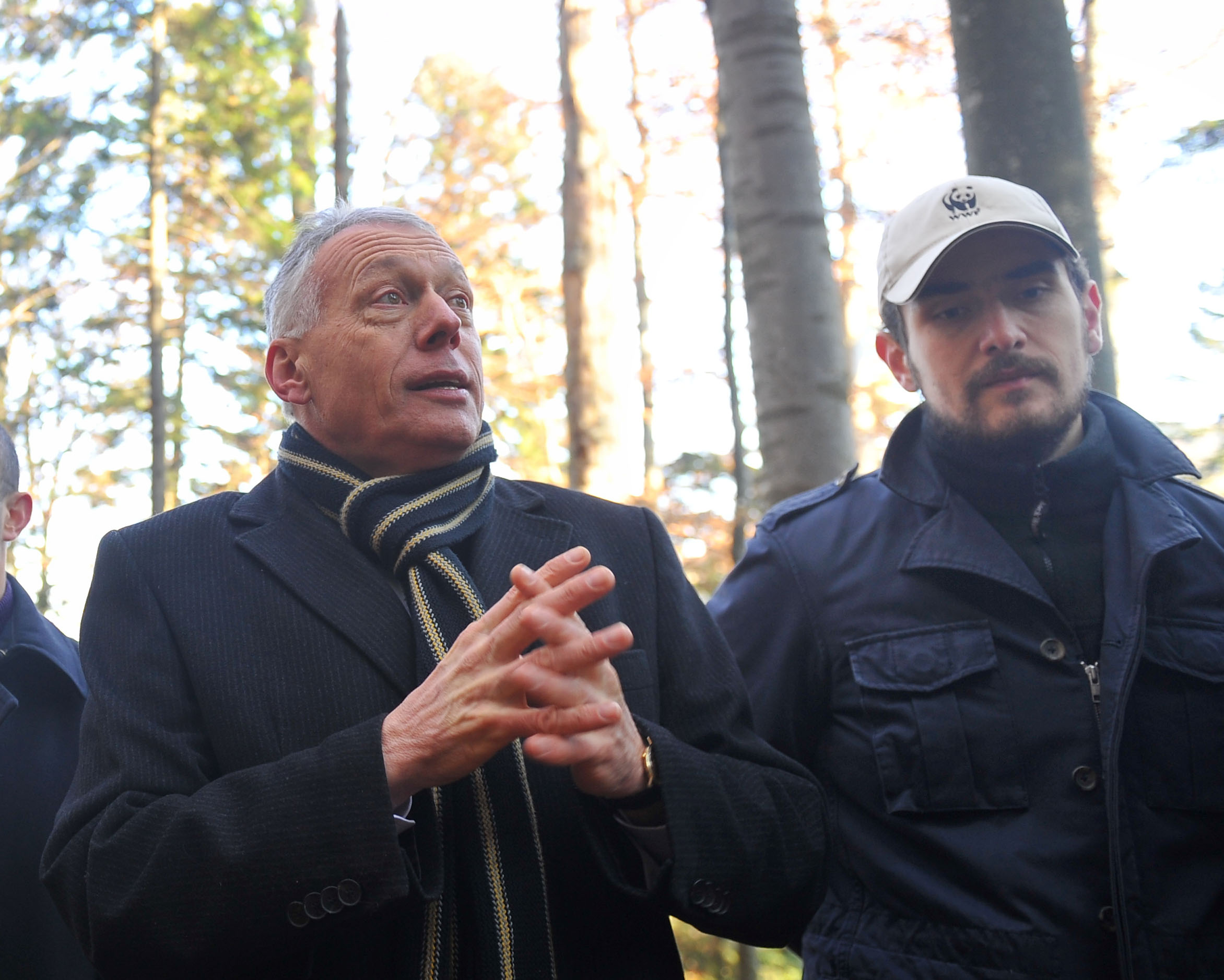 Un Pas Decisiv Pentru Salvarea Padurilor Virgine Din Romania WWF un-pas-decisiv-pentru-salvarea-padurilor-virgine-din-romania-wwf