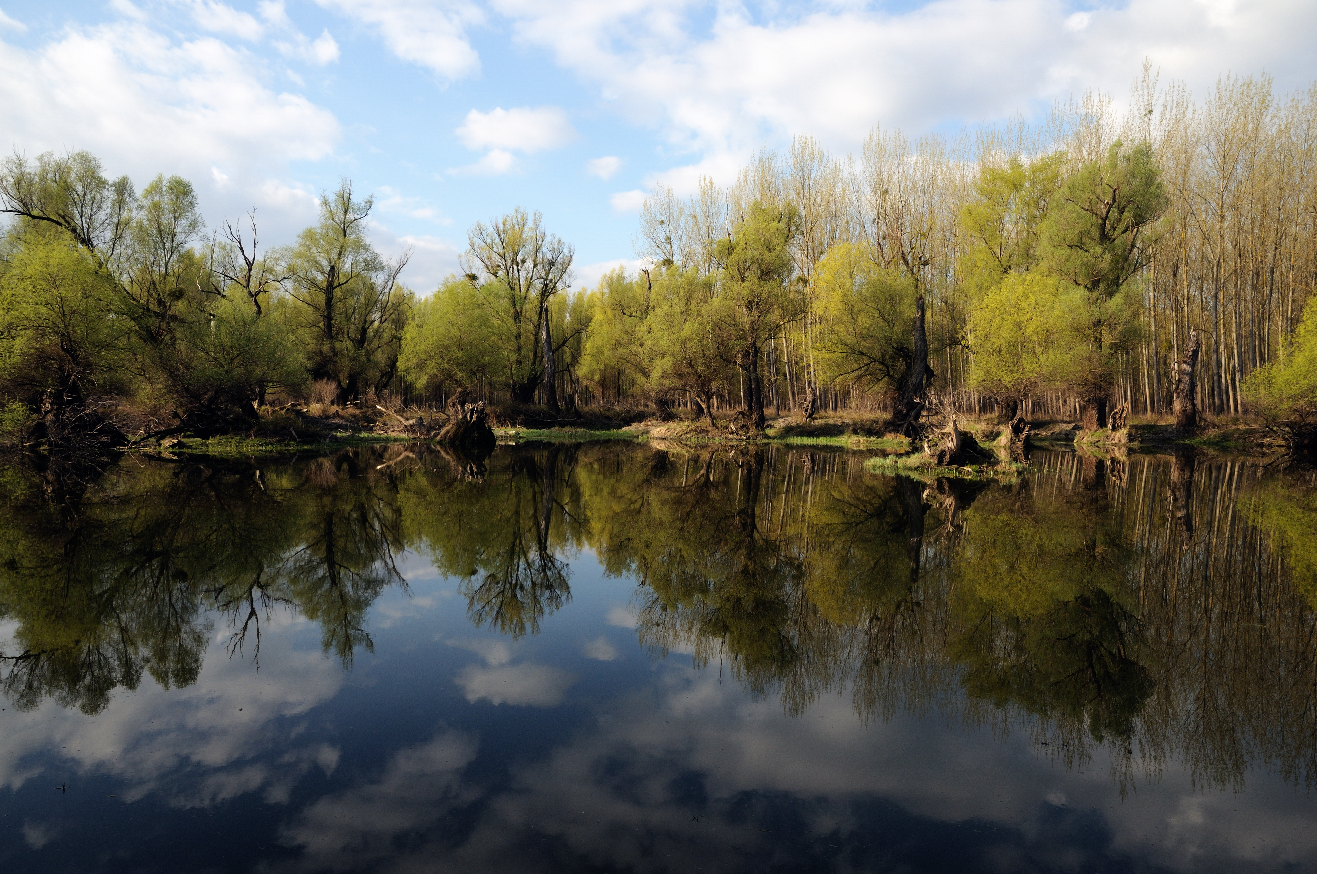 Gorna Reka Na međunarodni dan reka WWF objavio 360 river view video | WWF