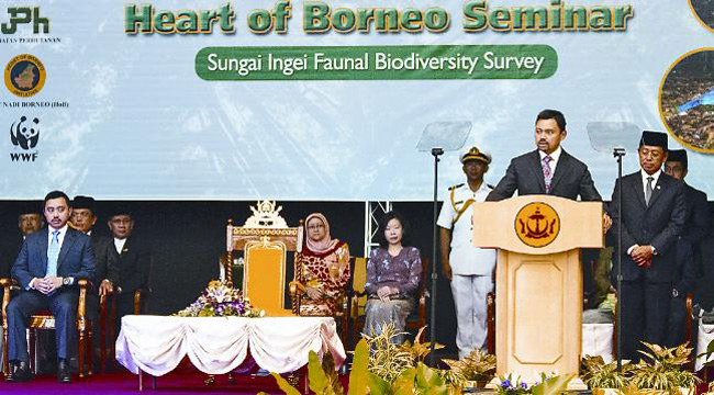 New species discovered in Brunei’s Heart of Borneo region | WWF