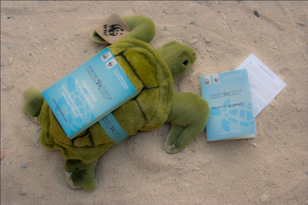 Get Eco-friendly this Festive Season with EWS-WWF’s Turtle ‘Adoption