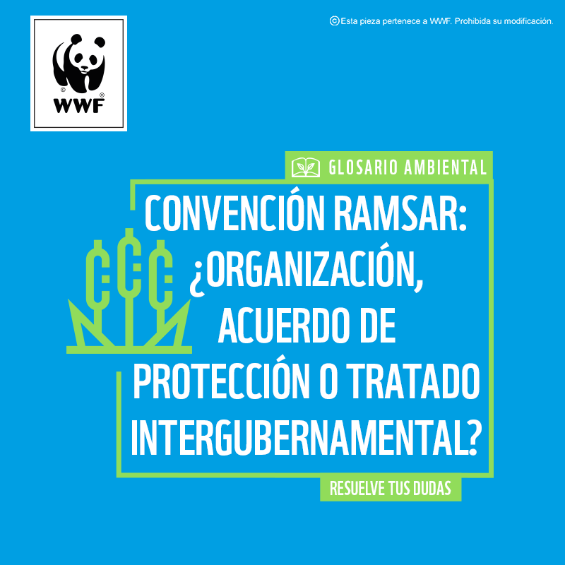 Glosario ambiental : Convención de Ramsar | WWF