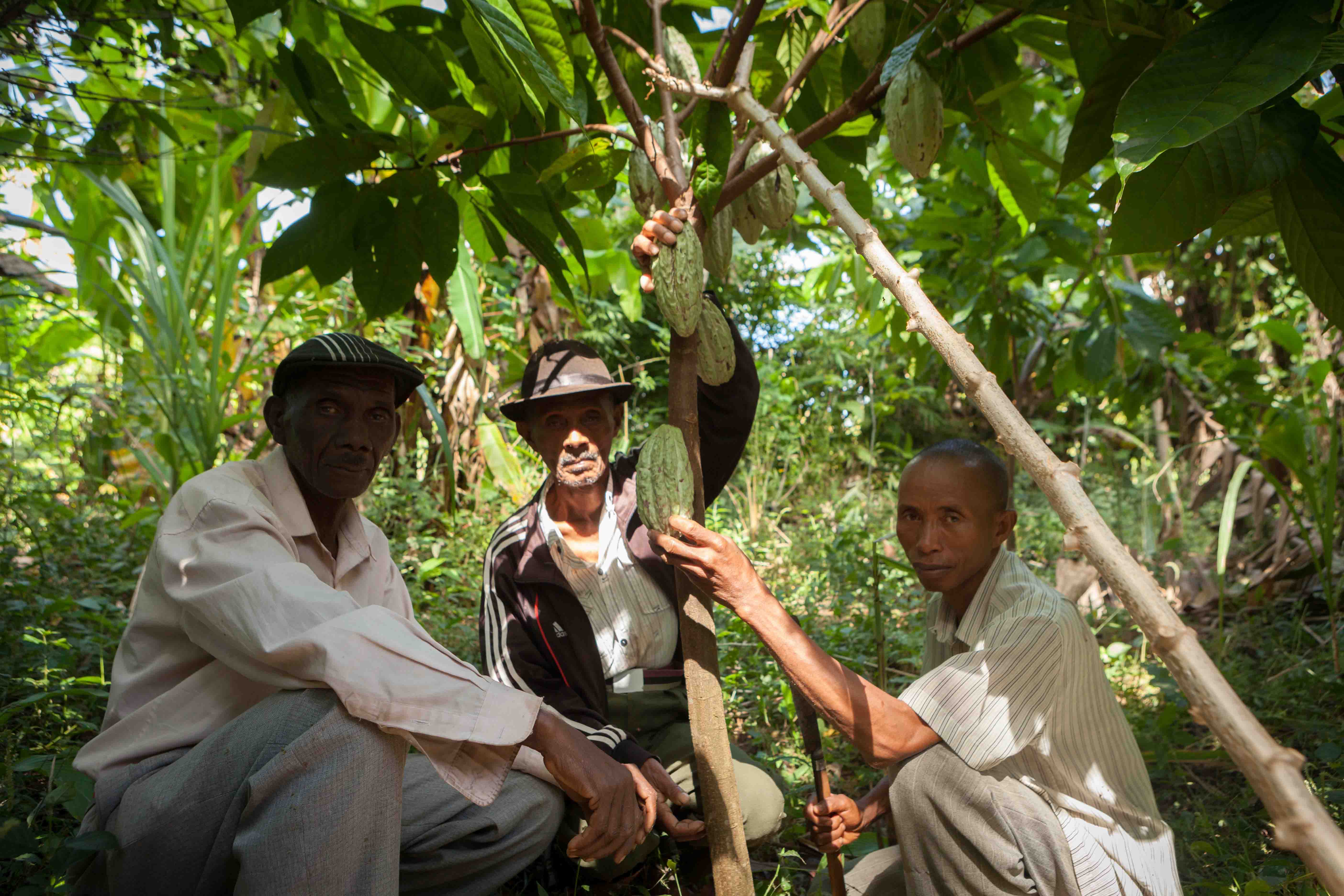 Wwf marketing objectives picture