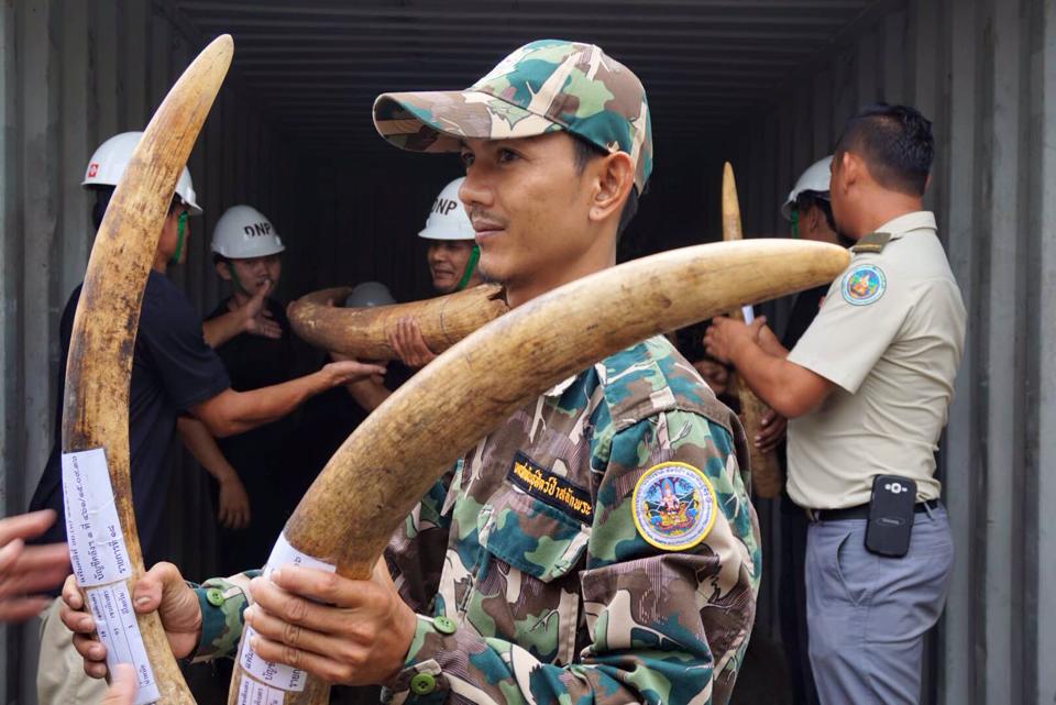 Thailand’s first ivory destruction sends a crushing message of zero ...