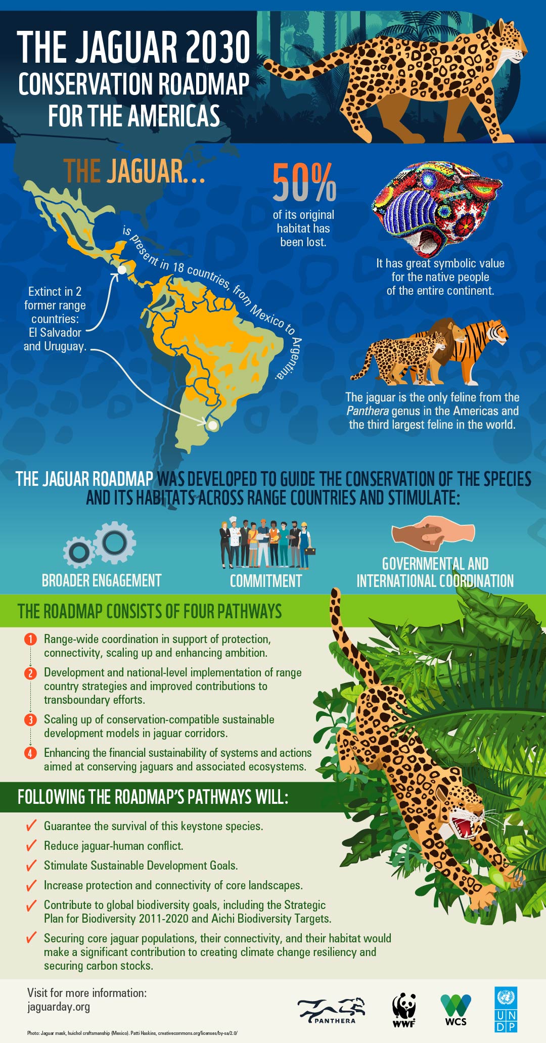 Latin America Launches New Roadmap to Save the Jaguar WWF