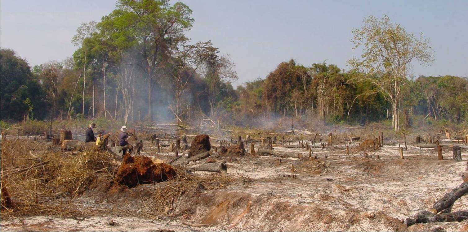 Preventing humanelephant conflict in Cambodia WWF
