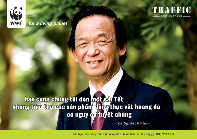 Lan Dung, Professor.