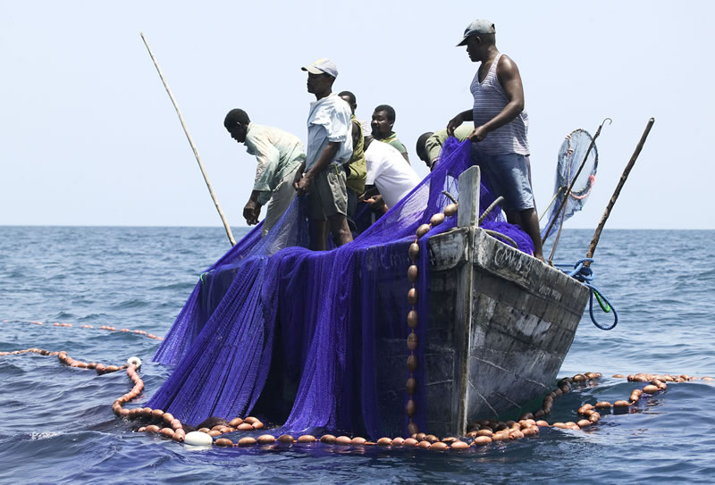 WWF applauds new marine conservation push in coastal East