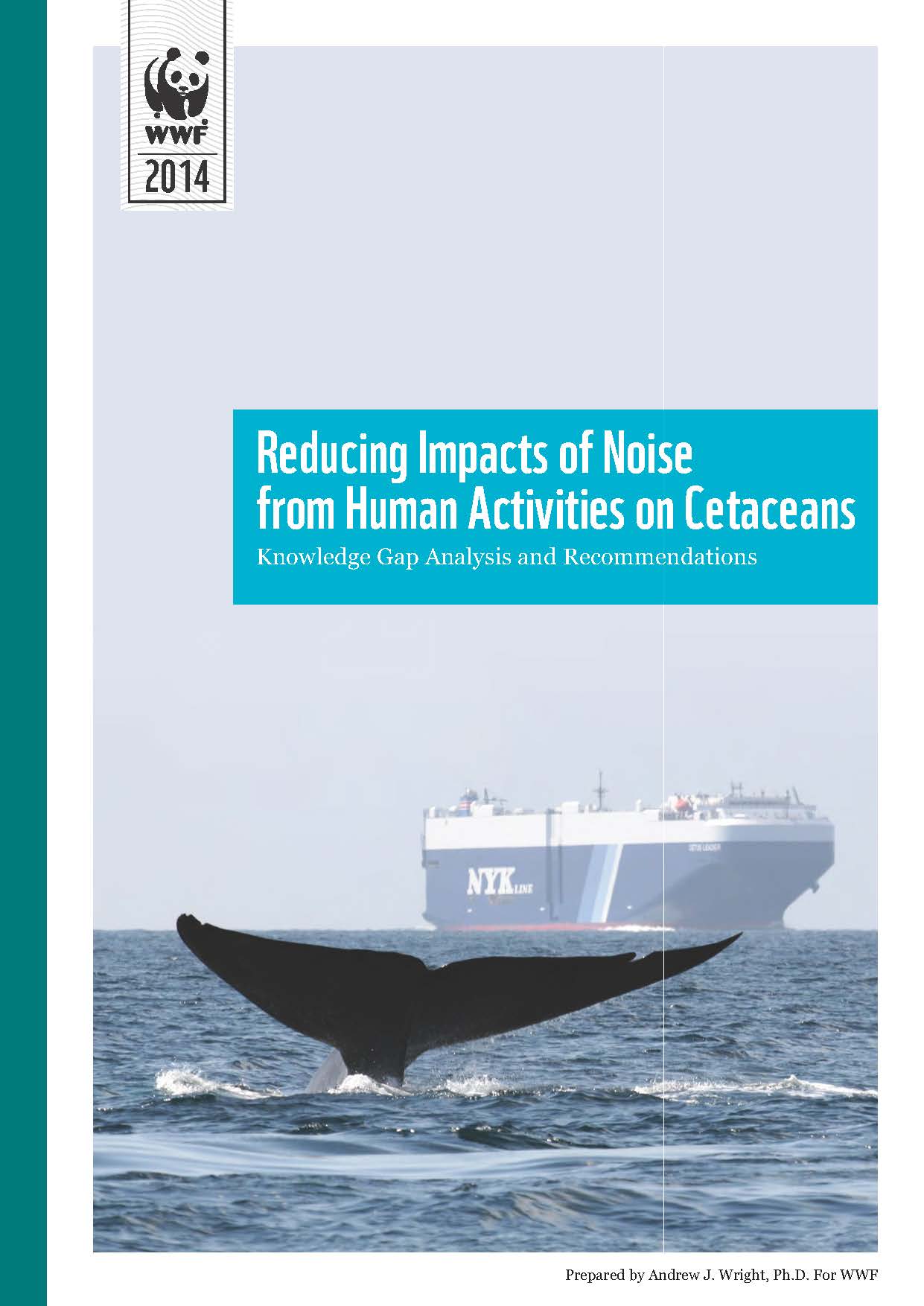 Reducing Impacts Of Noise From Human Activities On Cetaceans Wwf Reducing Impacts Of Noise From Human Activities On Cetaceans Wwf