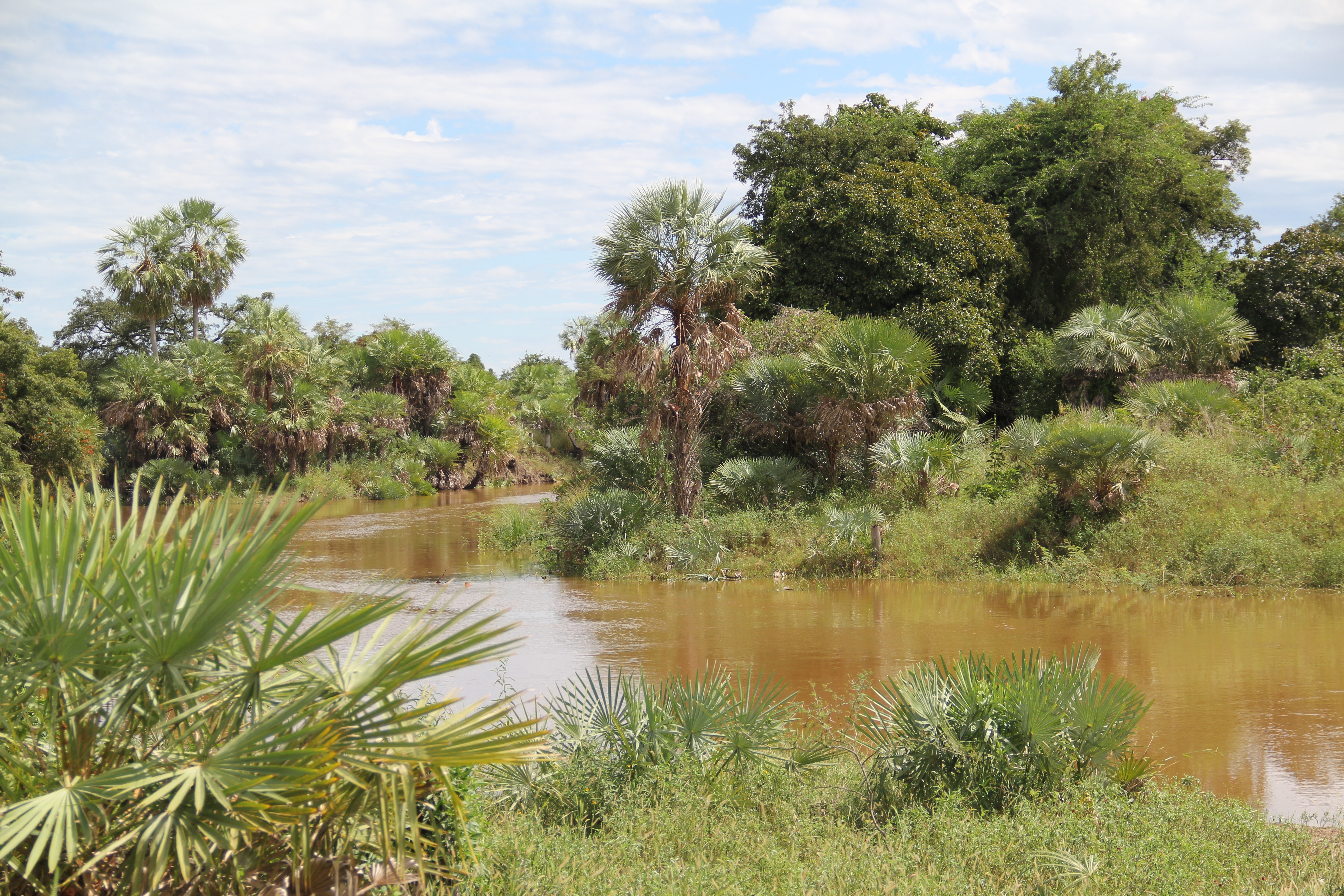 WWF apoya candidatura del emblemático Cerro León como patrimonio
