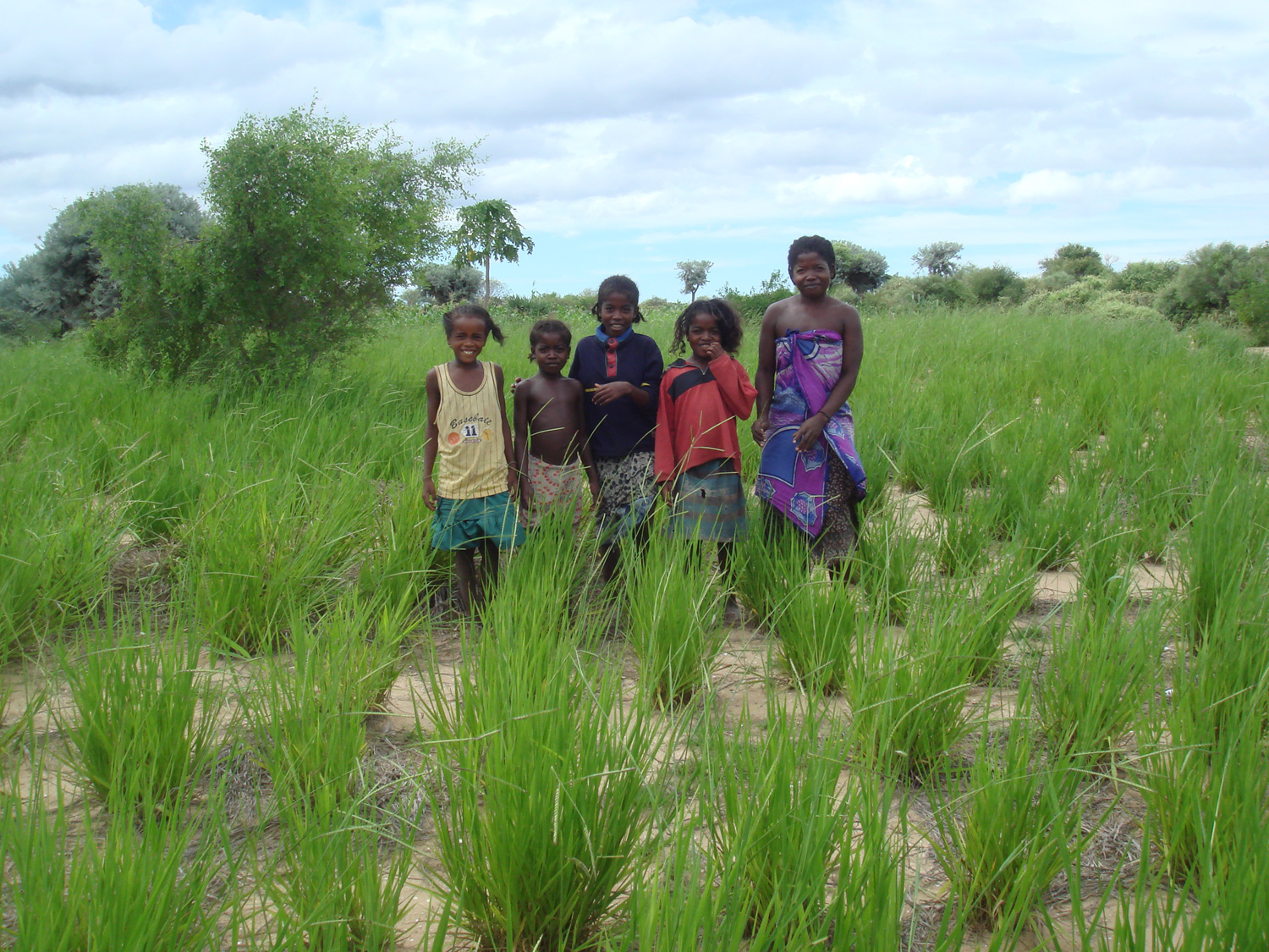 Adapting farming to combat climate change in Madagascar - the story of ...