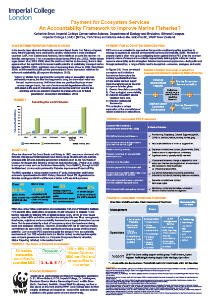 Payment for Ecosystem Services: An Accountability Framework to