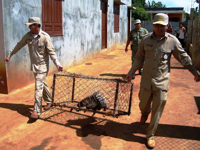 New field ranger training guidelines, could save the lives of those on ...