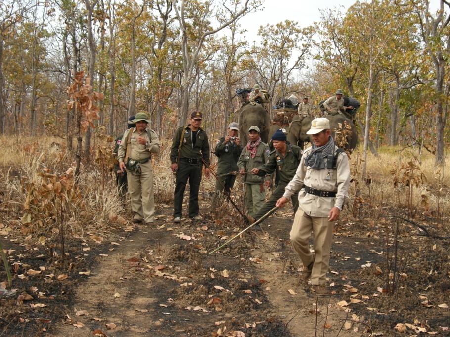 Rangers Forest Guardians And Wild Animal Saviours Wwf