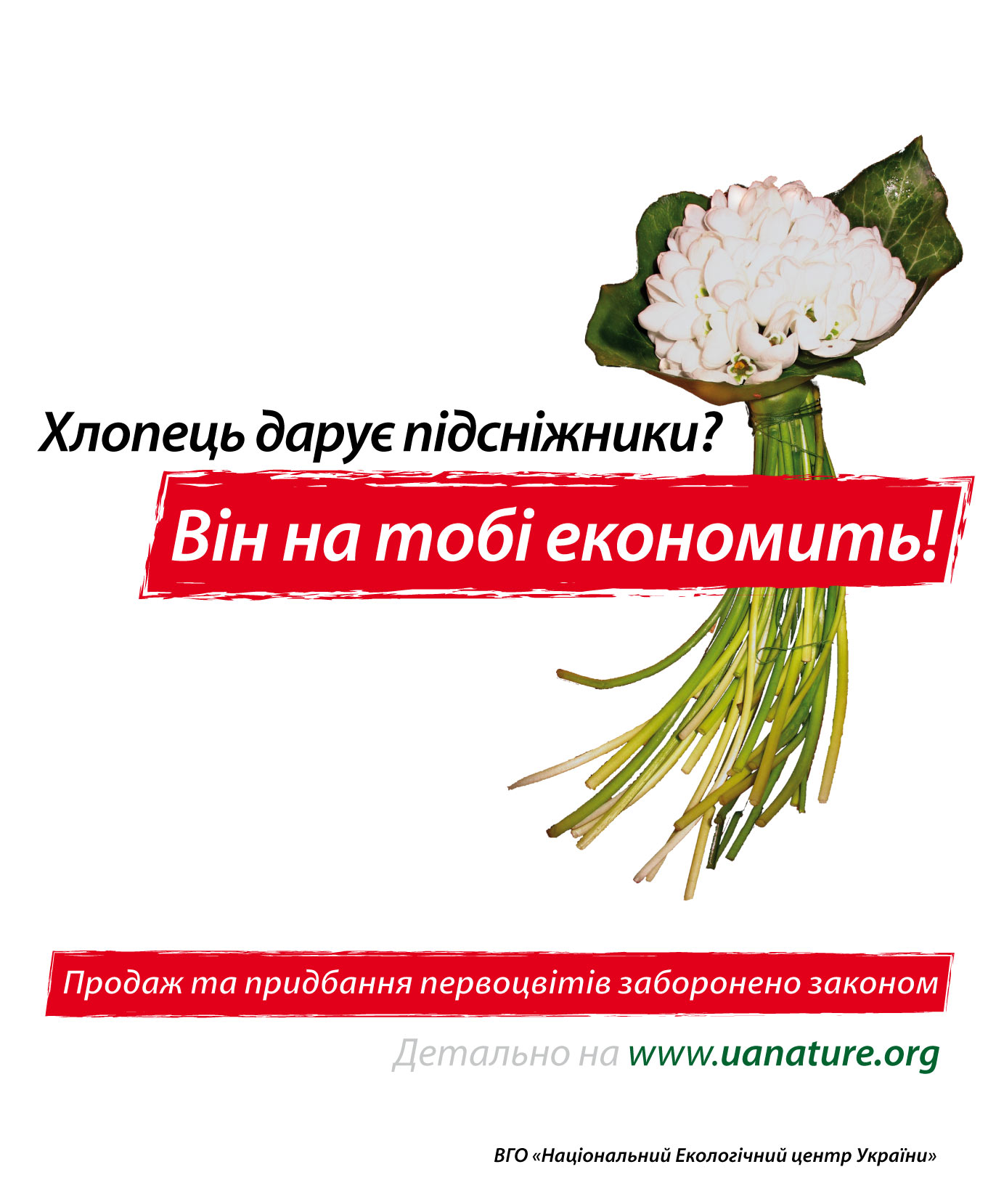 Рекламна кампанія на захист первоцвітів минулих років