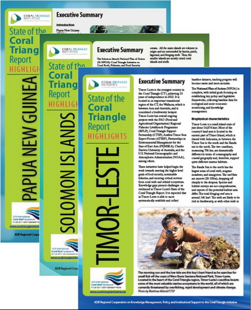 Triangular Report State of the Coral Triangle Reports Launched | WWF