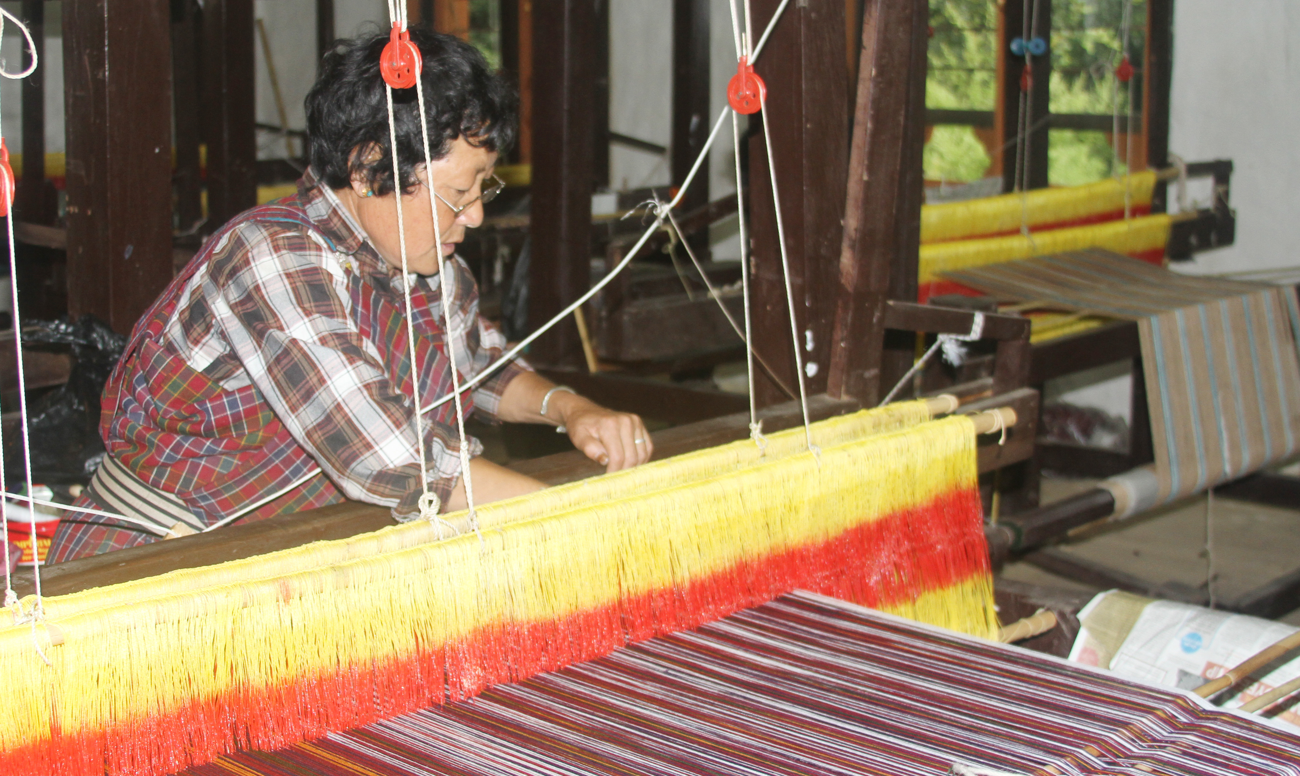 Weaving Income Weaving a livelihood | WWF