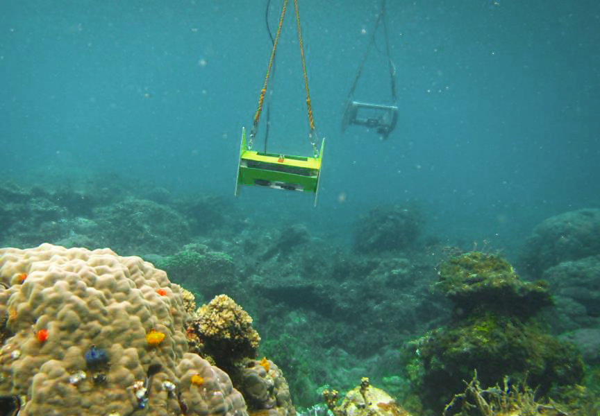 ARRAS: A new way of looking at coral reefs | WWF