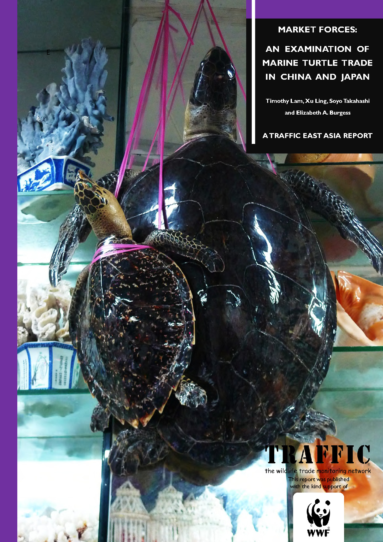 TRAFFIC urges consumers not to buy marine turtle products after new report highlights ongoing