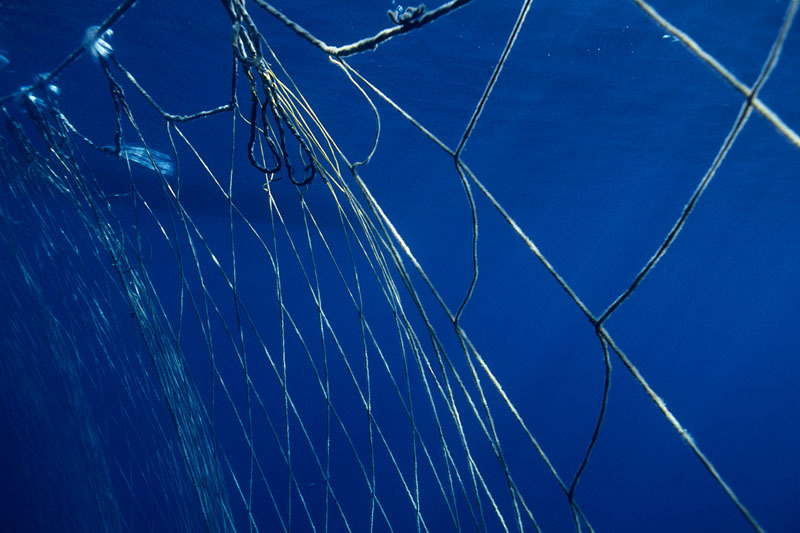 Fishermen's nets set out to corral Northern bluefin tuna (Thunnus thynnus) during the migration, Mediterranean Sea.