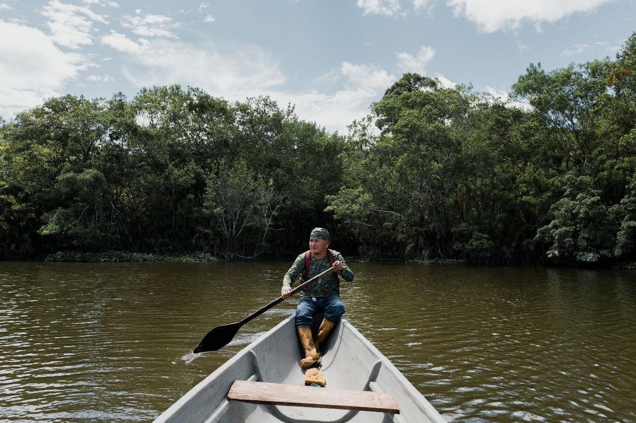  Deforestation in the Amazon is, accelerating the point of no return