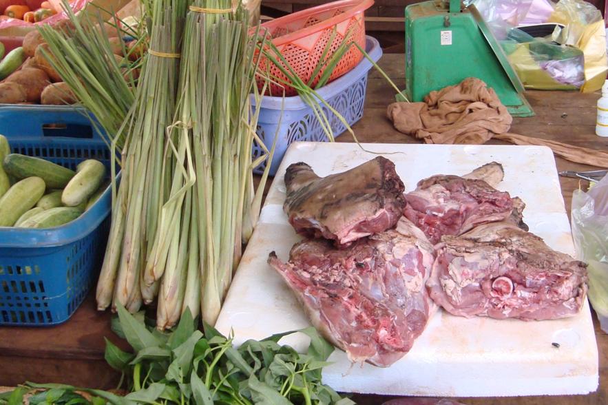 “Say No to Wild Meat and Illegal Wood Products” WWF