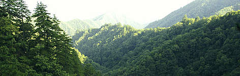 The Qinling Mountains. Shaanxi, China. rel=