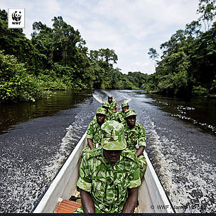 Panda Ranger Training New field ranger training guidelines, could save the lives of those on ...